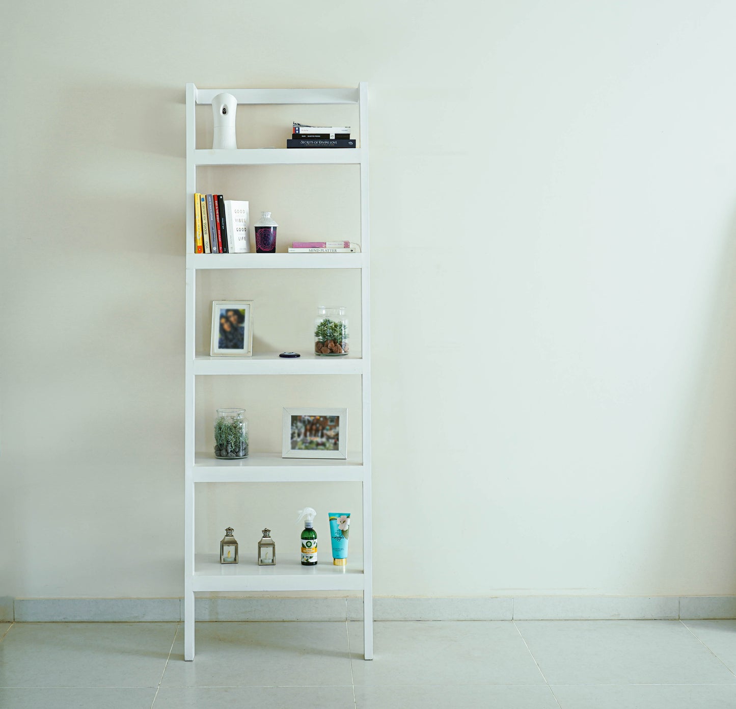 Ladder Shelf